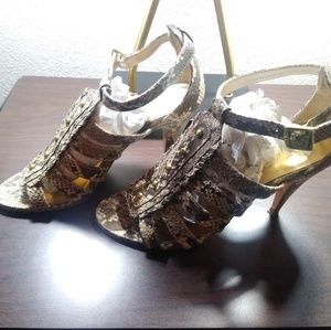 Coach snake heels